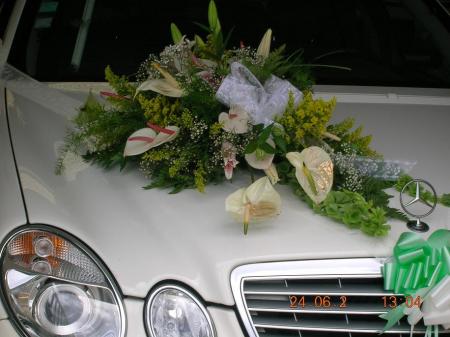 *********************************************************